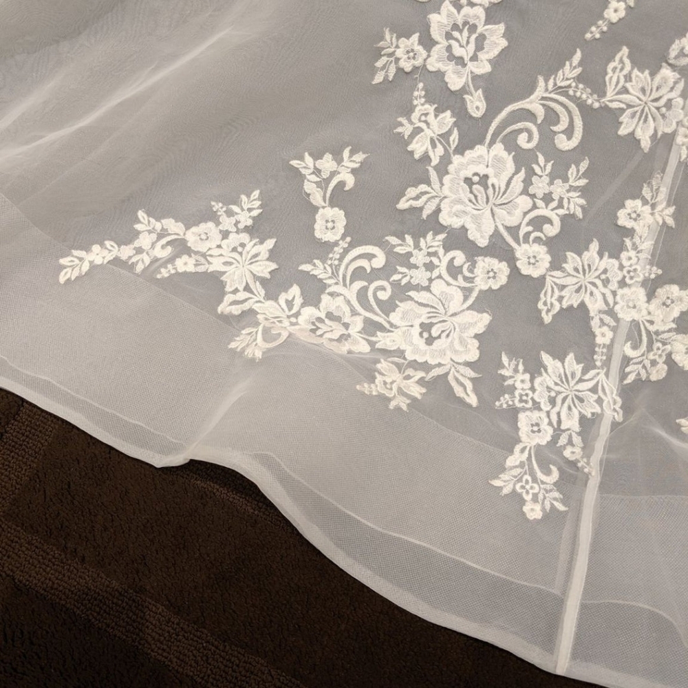 Pronovias Yorvin Wedding Gown - Picture 6 of 6